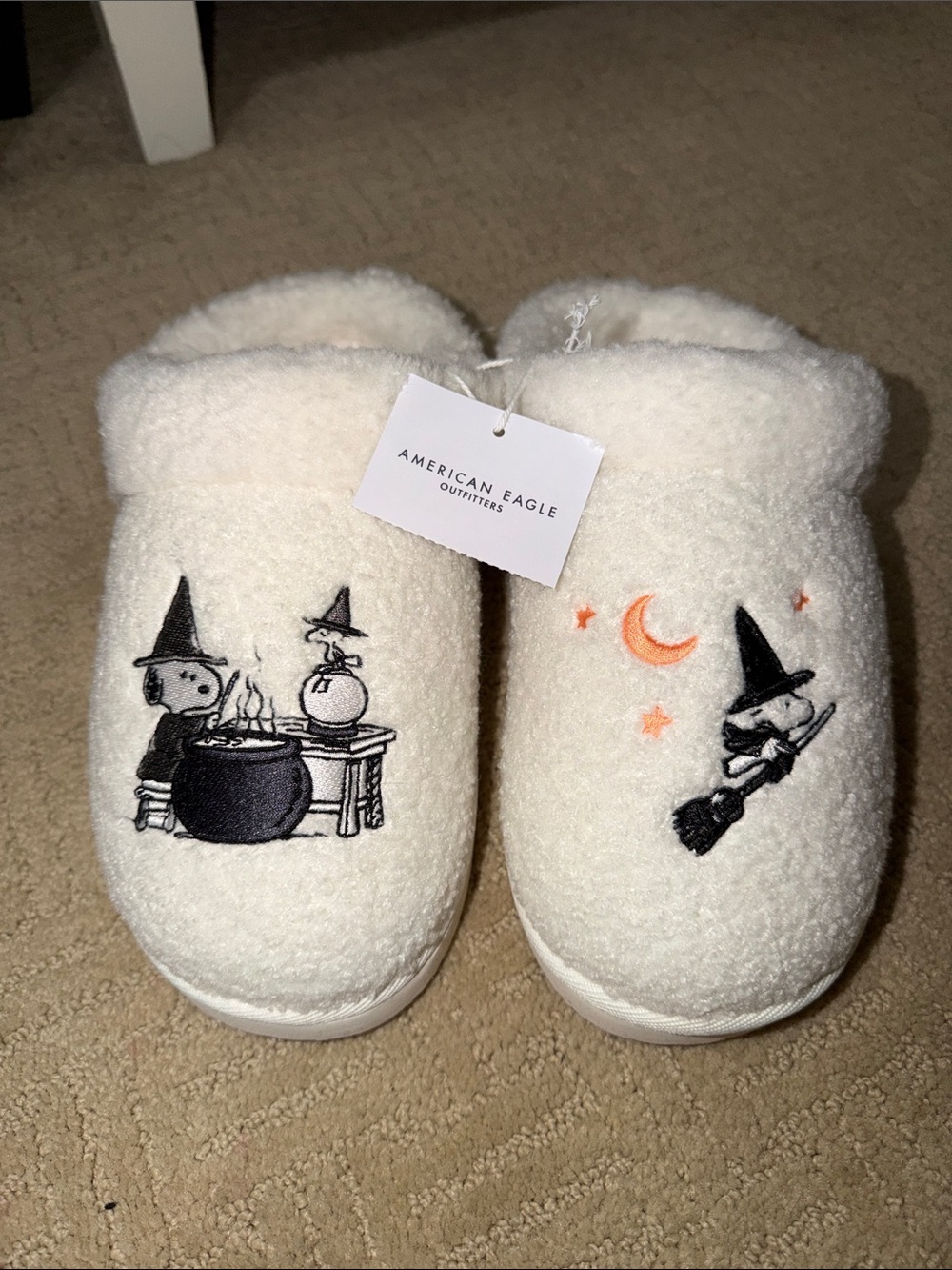 American Eagle Snoopy Halloween slippers